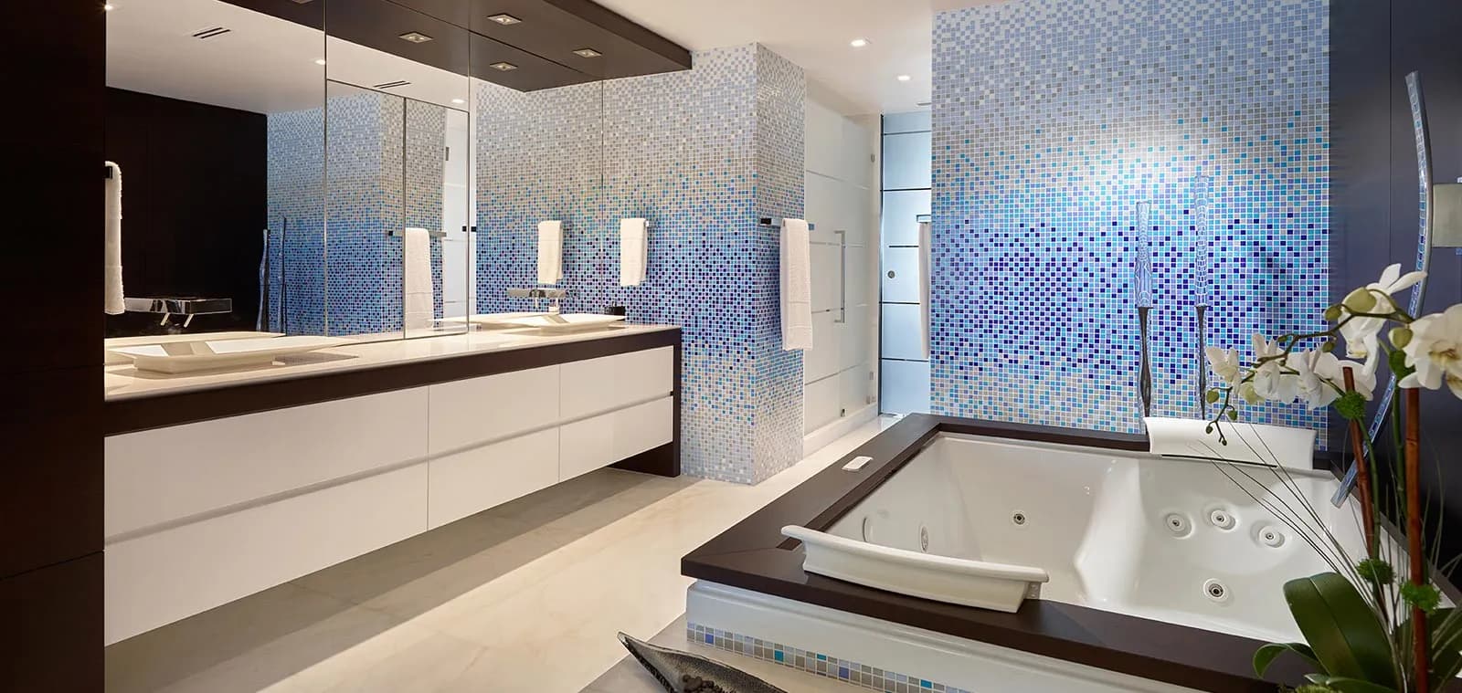 Luxurious Bathroom Jacuzzi